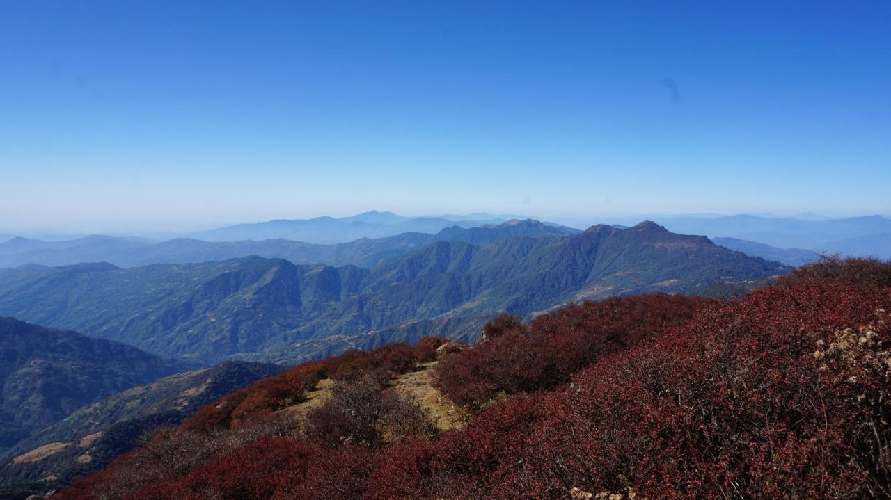 Chintapu Homestay In Ilam, Eastern Nepal Buitenkant foto