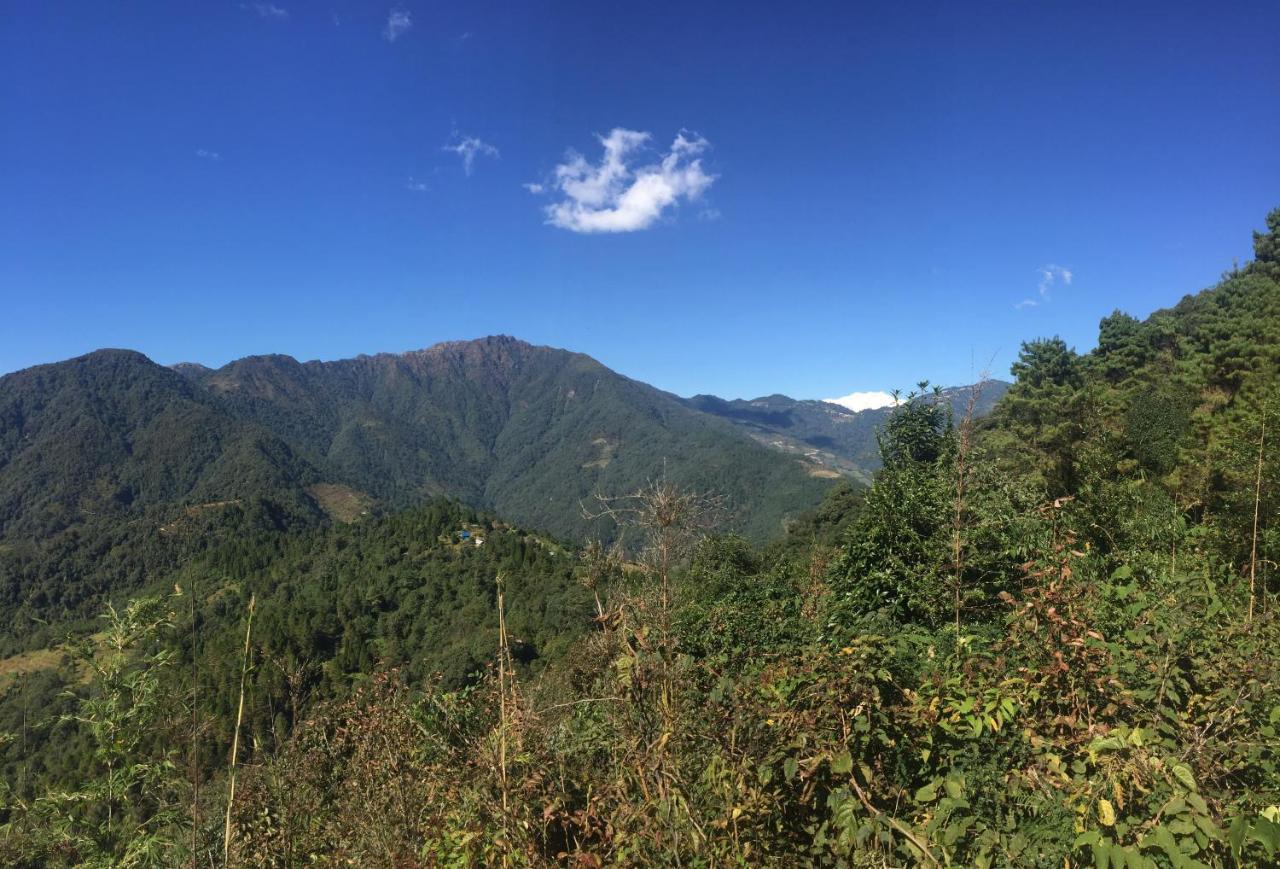 Chintapu Homestay In Ilam, Eastern Nepal Buitenkant foto