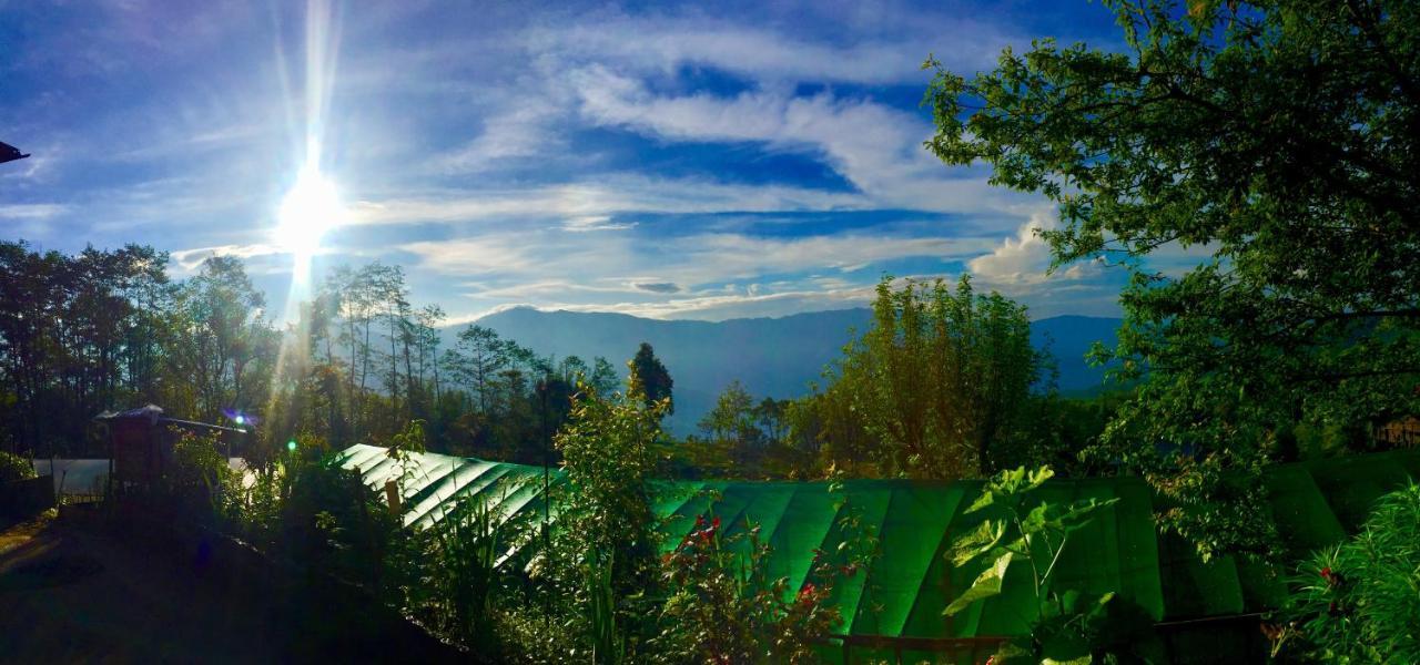 Chintapu Homestay In Ilam, Eastern Nepal Buitenkant foto