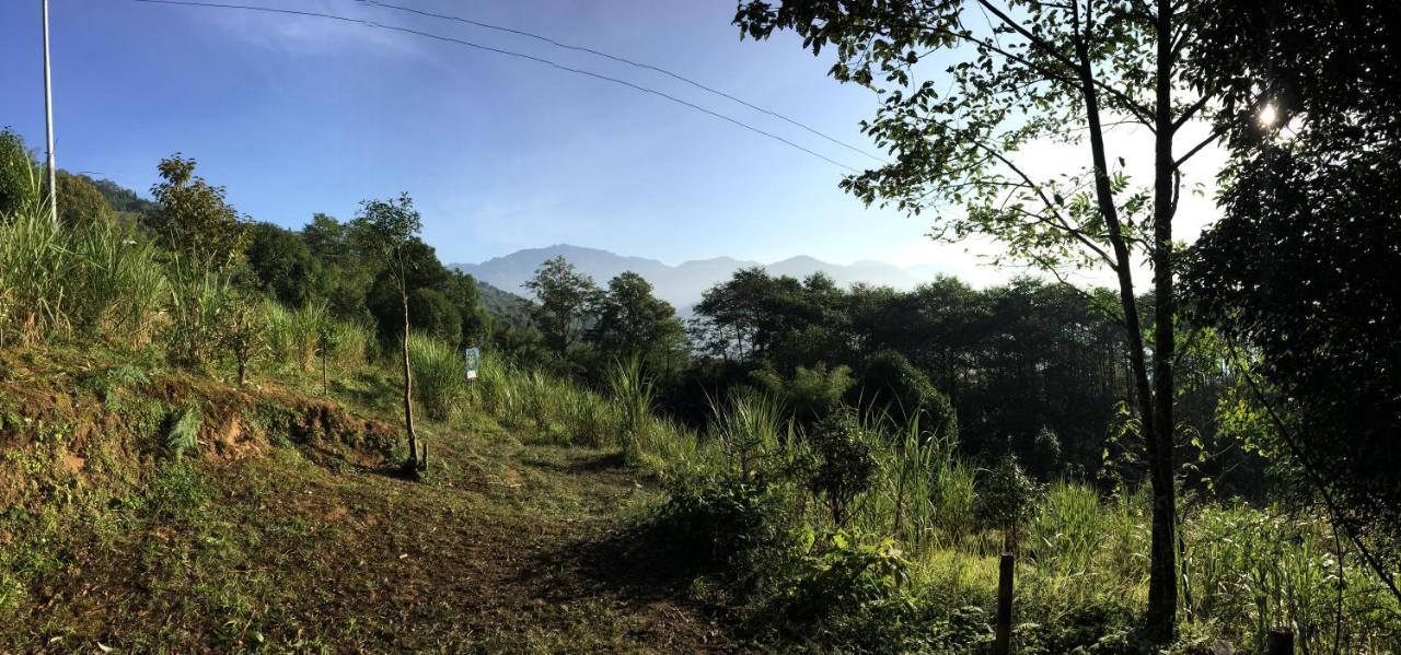 Chintapu Homestay In Ilam, Eastern Nepal Buitenkant foto