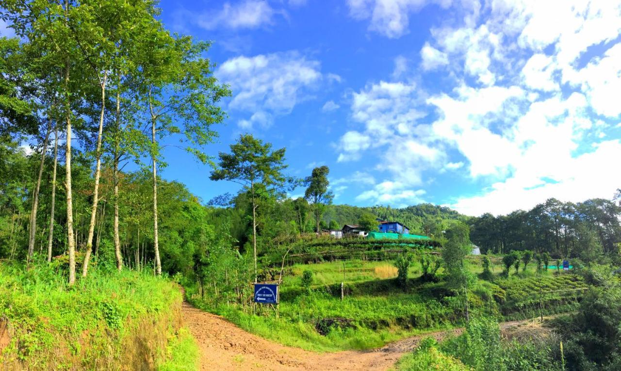 Chintapu Homestay In Ilam, Eastern Nepal Buitenkant foto